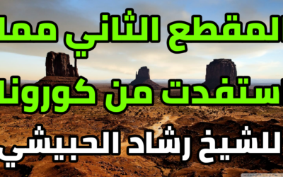 المقطع الثاني مما استفدت من كورونا